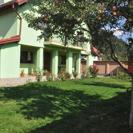 Vilman House Hotel Rîşnov Kültér fotó