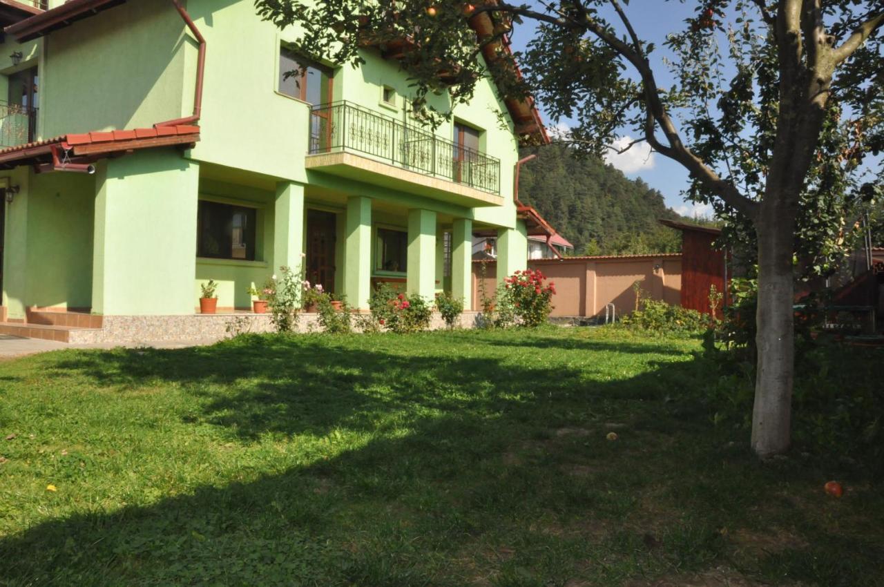 Vilman House Hotel Rîşnov Kültér fotó